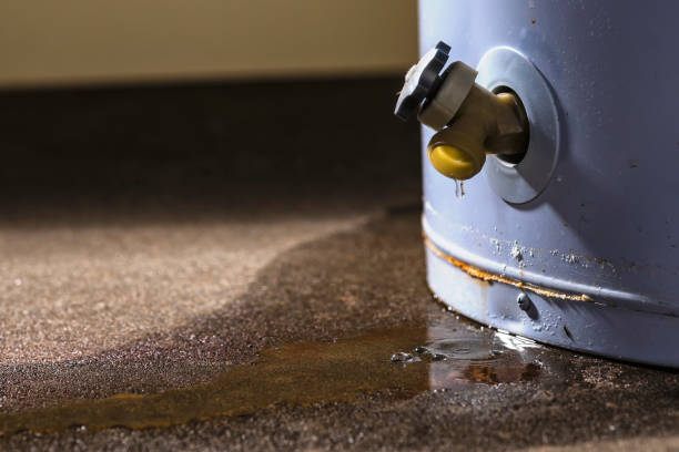 Best Water damage restoration services  in Jonesville, LA