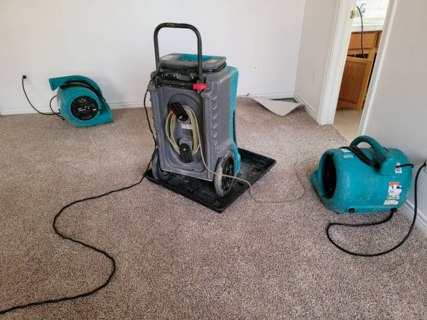 Best Emergency water damage restoration  in Jonesville, LA