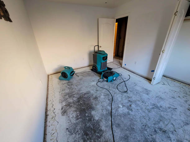 Reliable Jonesville, LA Water damage restoration Solutions