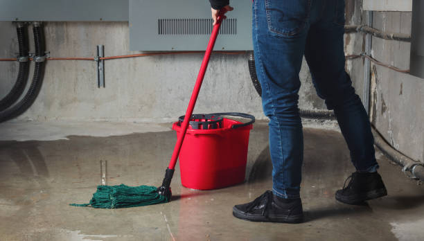 Best Basement water damage restoration  in Jonesville, LA