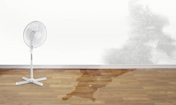 Best Water damage restoration company  in Jonesville, LA