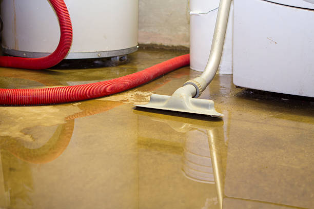 Best 24/7 water damage repair  in Jonesville, LA