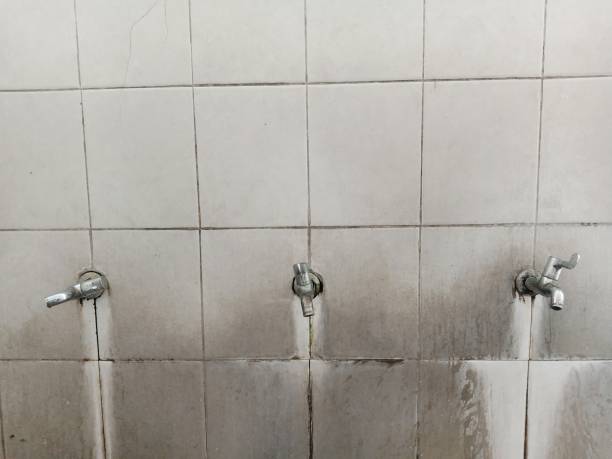 Best Water damage restoration near me  in Jonesville, LA