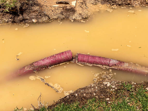 Best Emergency water damage restoration  in Jonesville, LA