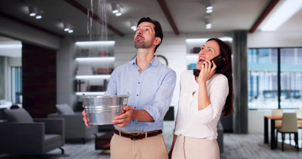 Best Fire Damage Restoration  in Jonesville, LA