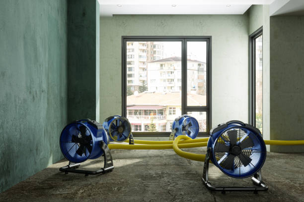 Best Residential water damage restoration  in Jonesville, LA