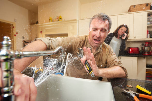 Best Mold removal after water damage  in Jonesville, LA